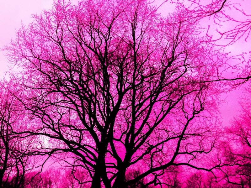 A Tree-Like Figure Composed of Natural and Technological Elements 